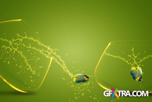 Angel Fish Conceptual Renders 50xJPG