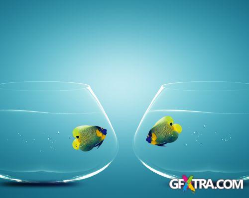 Angel Fish Conceptual Renders 50xJPG