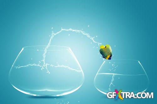 Angel Fish Conceptual Renders 50xJPG