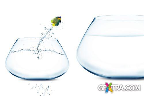 Angel Fish Conceptual Renders 50xJPG