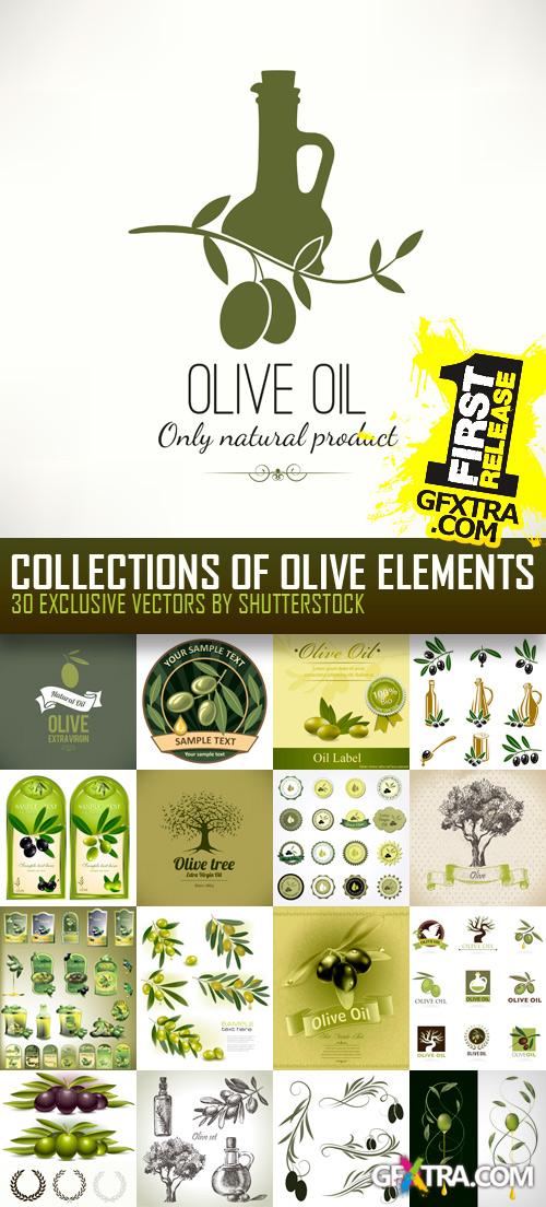 Amazing SS - Collections of Olive Elements, 30xEPS