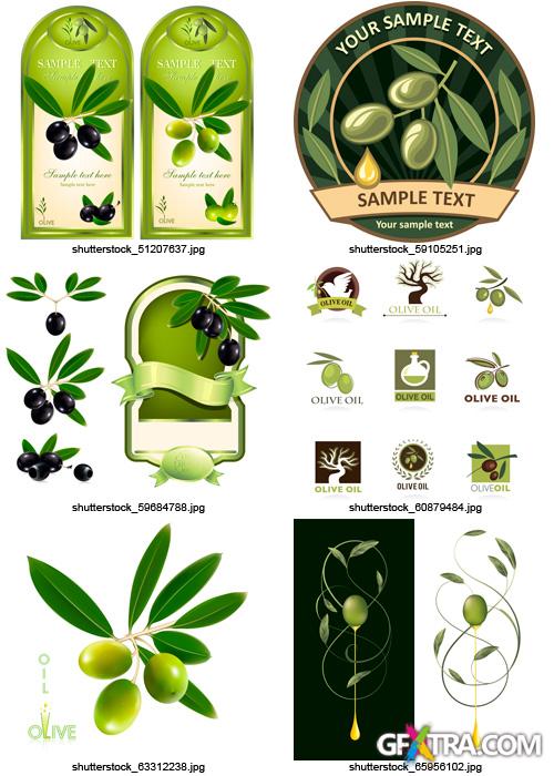 Amazing SS - Collections of Olive Elements, 30xEPS