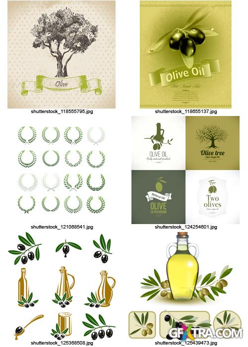 Amazing SS - Collections of Olive Elements, 30xEPS