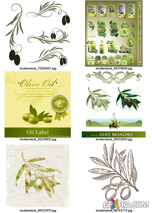 Amazing SS - Collections of Olive Elements, 30xEPS