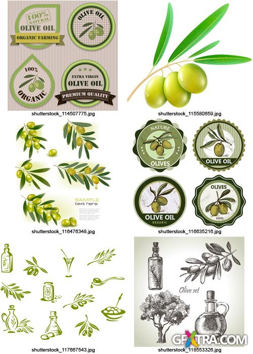 Amazing SS - Collections of Olive Elements, 30xEPS