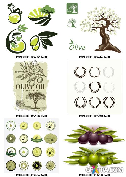 Amazing SS - Collections of Olive Elements, 30xEPS