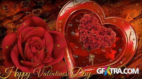 Footages - Valentine\'s Day - Red Rose