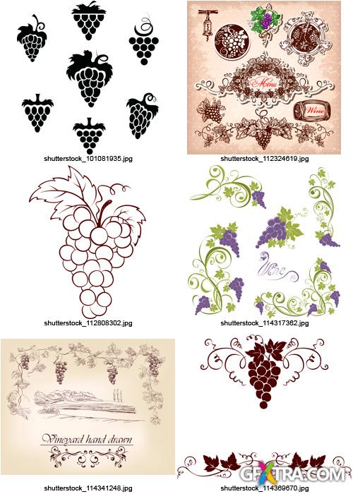 Amazing SS - Grapes & Winemaking, 25xEPS Amazing SS - Grapes & Winemaking, 25xEPS