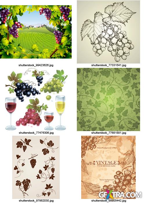 Amazing SS - Grapes & Winemaking, 25xEPS Amazing SS - Grapes & Winemaking, 25xEPS