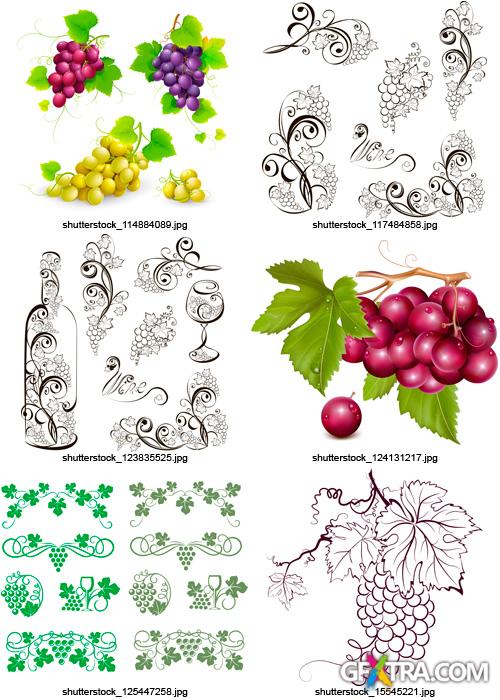 Amazing SS - Grapes & Winemaking, 25xEPS Amazing SS - Grapes & Winemaking, 25xEPS