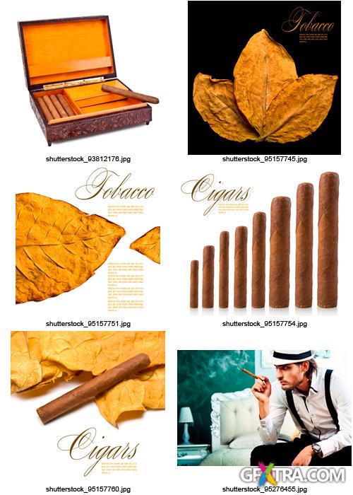 Amazing SS - Tobacco &amp; Cigars, 25xJPGs