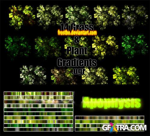 Apophysis Grass and Plant Gradient Pack