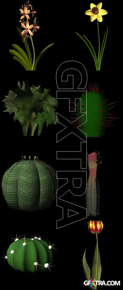 Botanica.3D - 77 Plant Models for 3DS Max