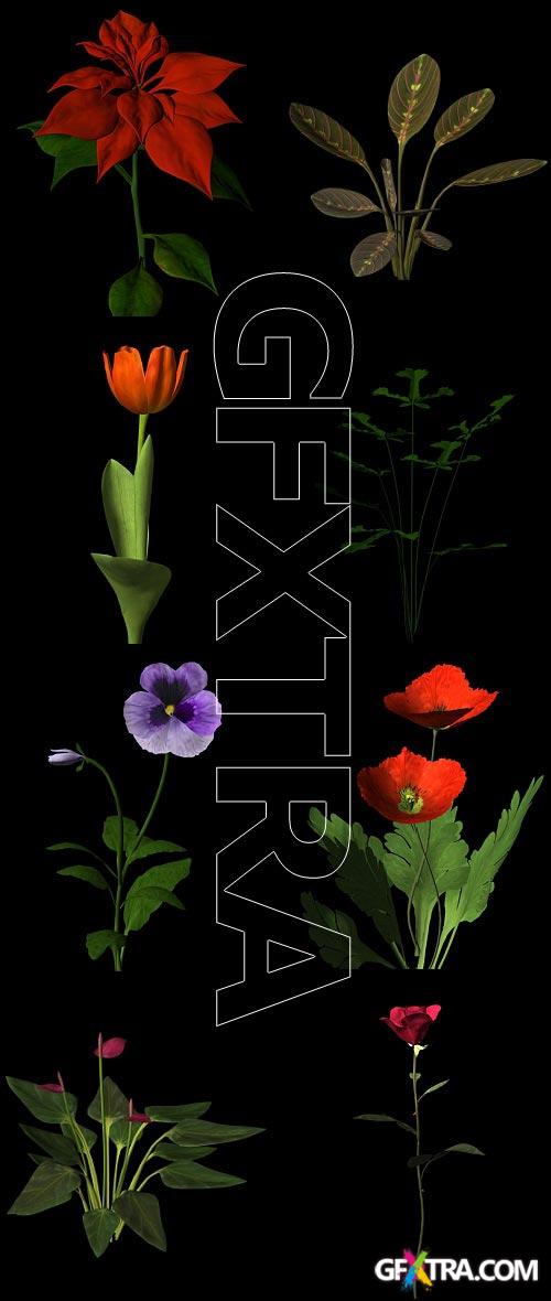 Botanica.3D - 77 Plant Models for 3DS Max