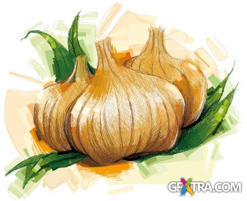 Vegetable and Fruit Full-Colored Illustrations 33xEPS Vegetable and Fruit Full-Colored Illustrations 33xEPS