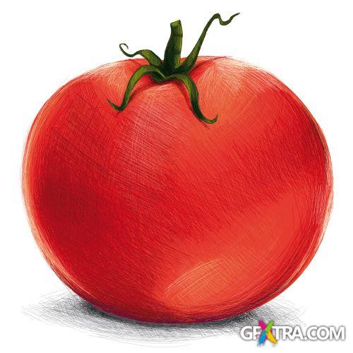 Vegetable and Fruit Full-Colored Illustrations 33xEPS Vegetable and Fruit Full-Colored Illustrations 33xEPS