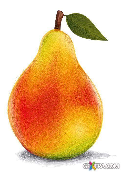 Vegetable and Fruit Full-Colored Illustrations 33xEPS Vegetable and Fruit Full-Colored Illustrations 33xEPS