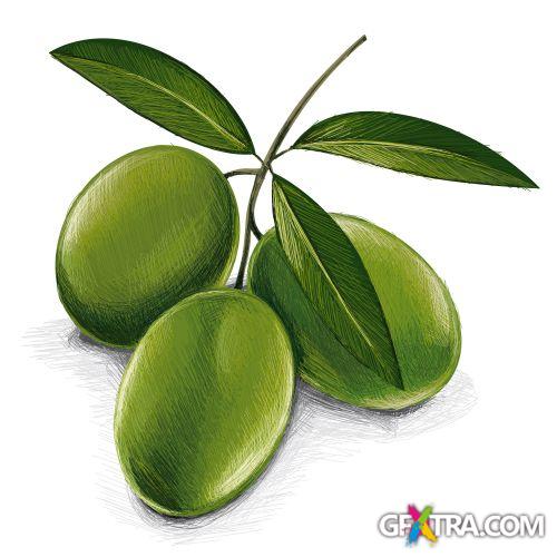 Vegetable and Fruit Full-Colored Illustrations 33xEPS Vegetable and Fruit Full-Colored Illustrations 33xEPS