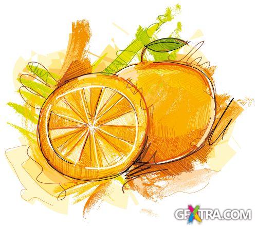 Vegetable and Fruit Full-Colored Illustrations 33xEPS Vegetable and Fruit Full-Colored Illustrations 33xEPS