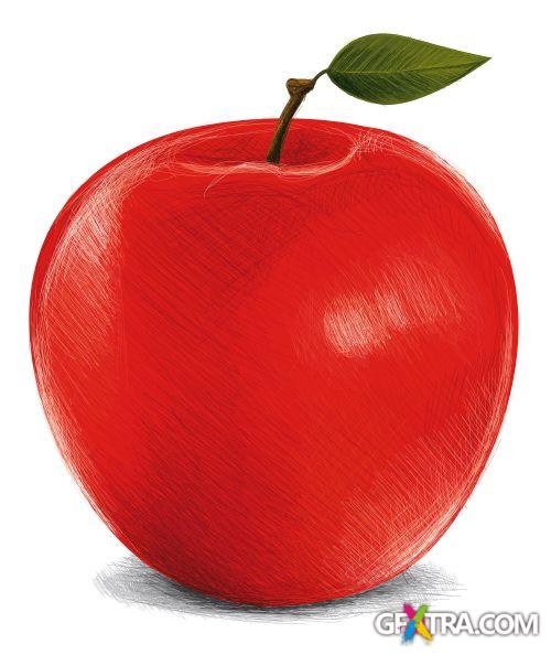 Vegetable and Fruit Full-Colored Illustrations 33xEPS Vegetable and Fruit Full-Colored Illustrations 33xEPS