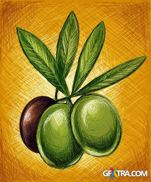 Vegetable and Fruit Full-Colored Illustrations 33xEPS Vegetable and Fruit Full-Colored Illustrations 33xEPS