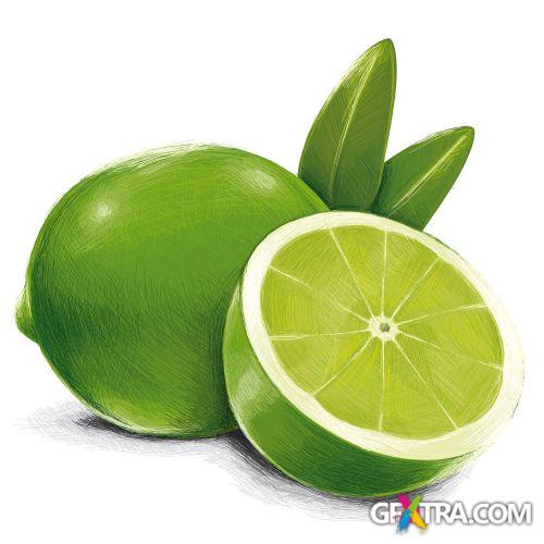 Vegetable and Fruit Full-Colored Illustrations 33xEPS Vegetable and Fruit Full-Colored Illustrations 33xEPS