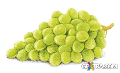 Vegetable and Fruit Full-Colored Illustrations 33xEPS Vegetable and Fruit Full-Colored Illustrations 33xEPS