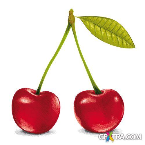 Vegetable and Fruit Full-Colored Illustrations 33xEPS Vegetable and Fruit Full-Colored Illustrations 33xEPS