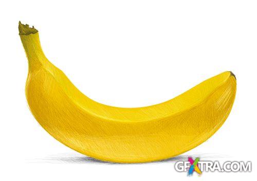 Vegetable and Fruit Full-Colored Illustrations 33xEPS Vegetable and Fruit Full-Colored Illustrations 33xEPS