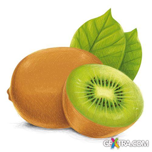 Vegetable and Fruit Full-Colored Illustrations 33xEPS Vegetable and Fruit Full-Colored Illustrations 33xEPS