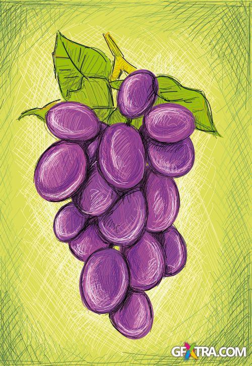 Vegetable and Fruit Full-Colored Illustrations 33xEPS Vegetable and Fruit Full-Colored Illustrations 33xEPS