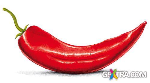 Vegetable and Fruit Full-Colored Illustrations 33xEPS Vegetable and Fruit Full-Colored Illustrations 33xEPS