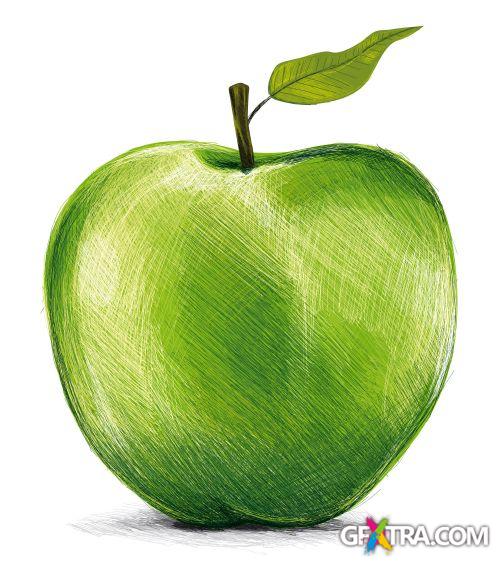 Vegetable and Fruit Full-Colored Illustrations 33xEPS Vegetable and Fruit Full-Colored Illustrations 33xEPS