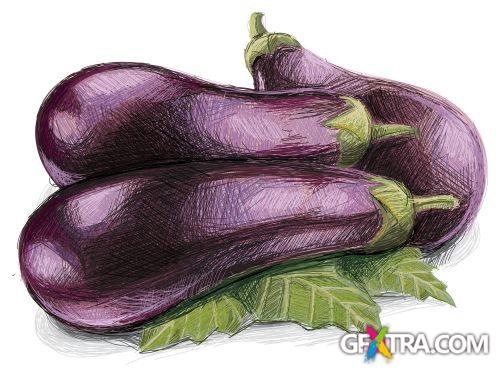 Vegetable and Fruit Full-Colored Illustrations 33xEPS Vegetable and Fruit Full-Colored Illustrations 33xEPS