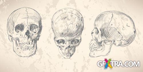 Fascinating Skulls II, 31xEPS