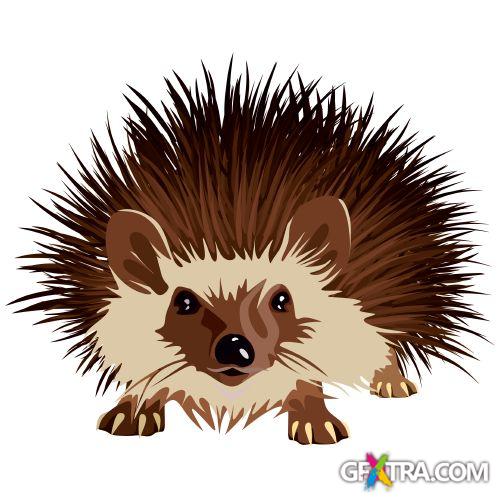 Animals Faces Bundle 103xEPS