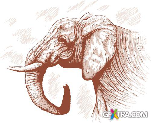 Fascinating Vectors #4, 57xEPS