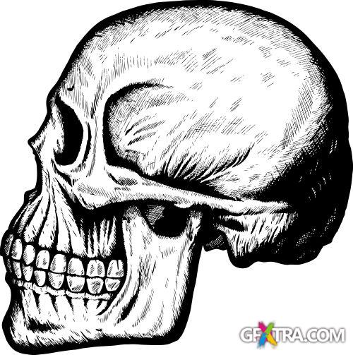 Fascinating Vectors #4, 57xEPS