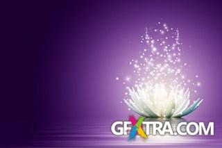 Around the World 25xJPG