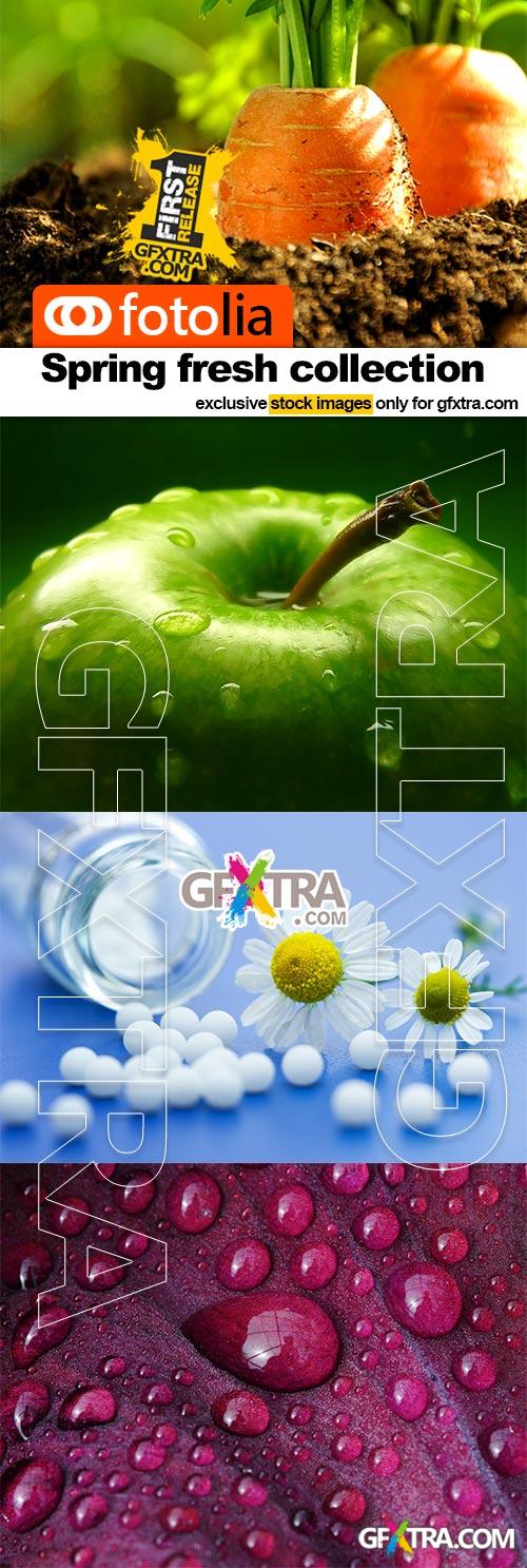 Spring Freshness - 25x JPEGs Spring Freshness - 25x JPEGs