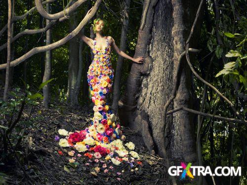 Females for Conceptual Works 50xJPG Females for Conceptual Works 50xJPG