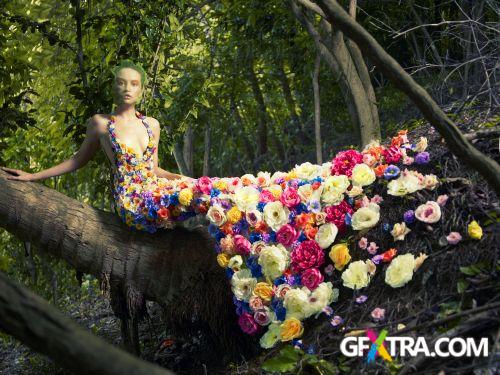 Females for Conceptual Works 50xJPG Females for Conceptual Works 50xJPG