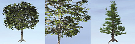 Dosch 3D - Trees & Conifers