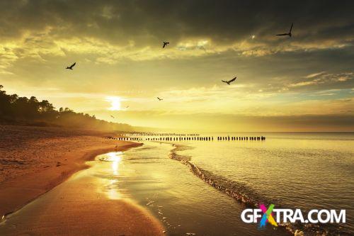 Beach Collection 50xJPG