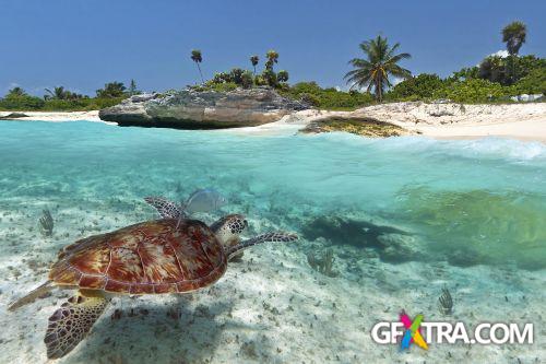 Beach Collection 50xJPG