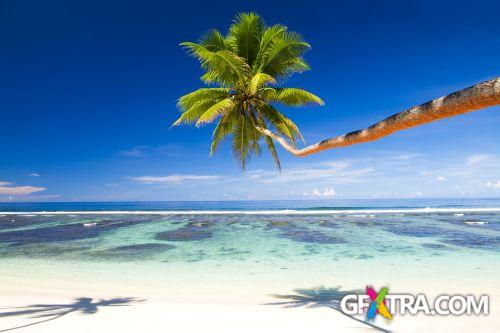 Beach Collection 50xJPG