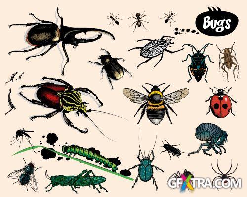 Fascinating Vectors 5, 108xEPS