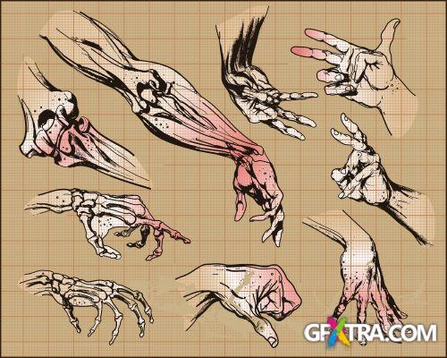 Fascinating Vectors 5, 108xEPS