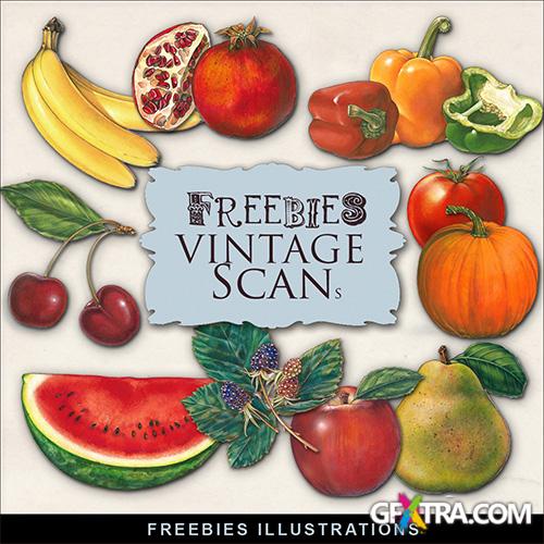 Scrap-kit - Fruit Vegetable Illustrations