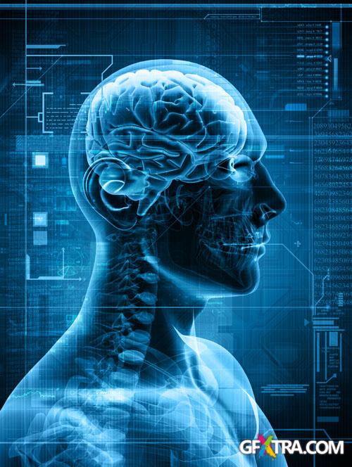 Structure of Human - 25x JPEGs Structure of Human - 25x JPEGs